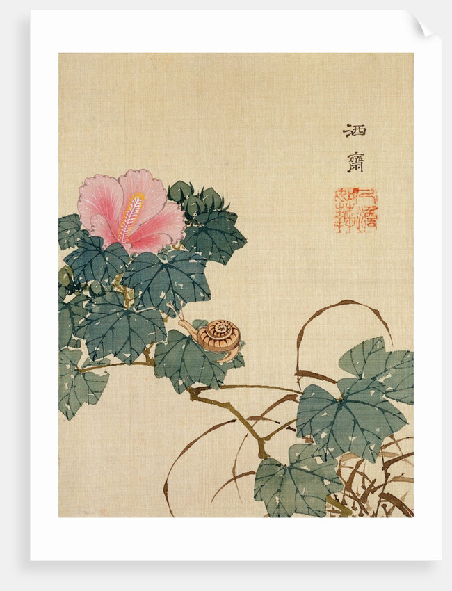 Snail, Pink Flower and Foliage by Shasai