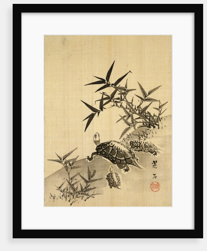 Tortoises and Bamboo by Siuseki