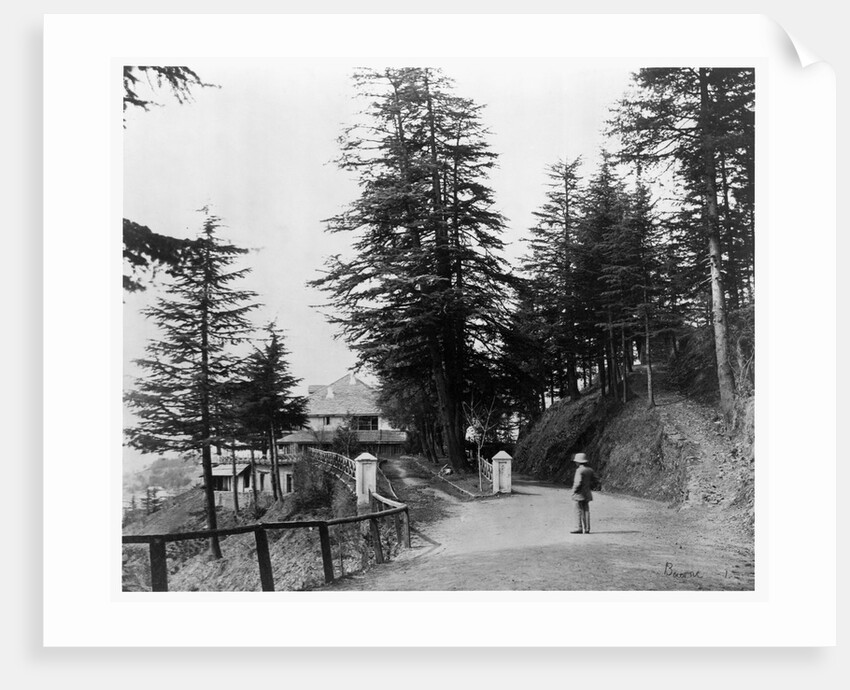 Simla by Samuel Bourne
