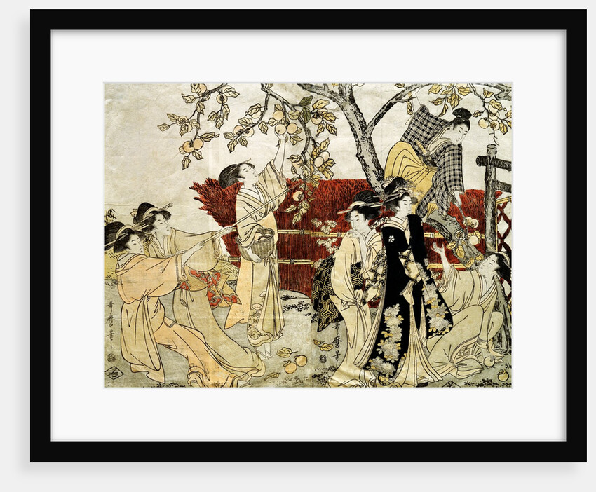 A Man and Six Women Gathering Persimmons by Kitagawa Utamaro