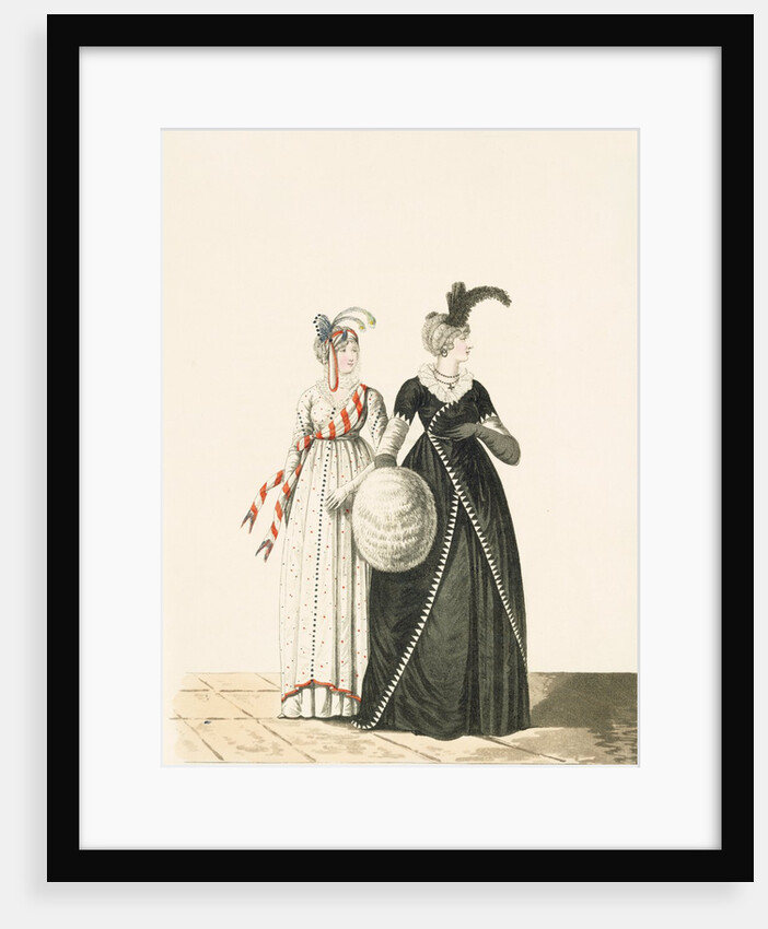 Fashion Plate by Anonymous