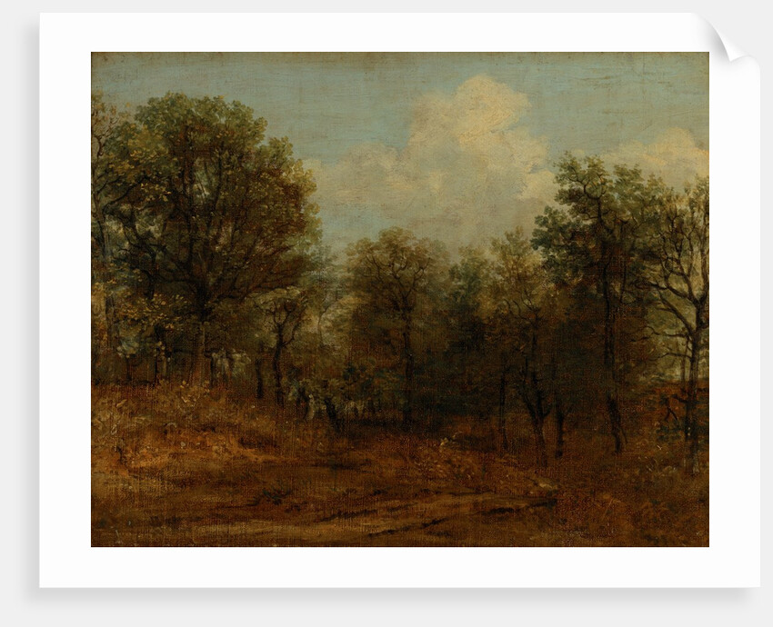 A Wood by John Constable