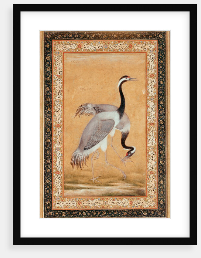 A Pair of Cranes by Ustad Mansur