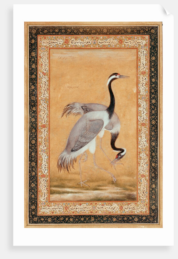 A Pair of Cranes by Ustad Mansur