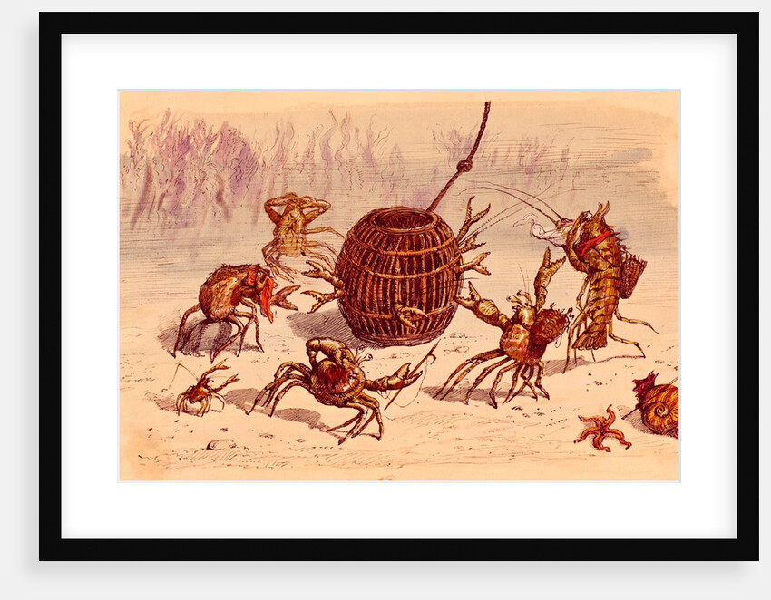 The Crab Pot by Ernest Griset