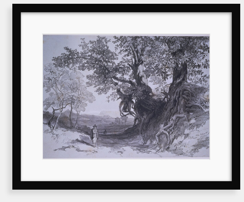 Paliano by Edward Lear