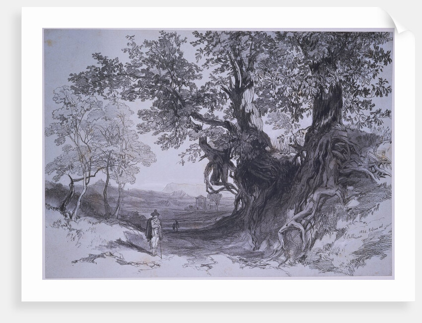 Paliano by Edward Lear