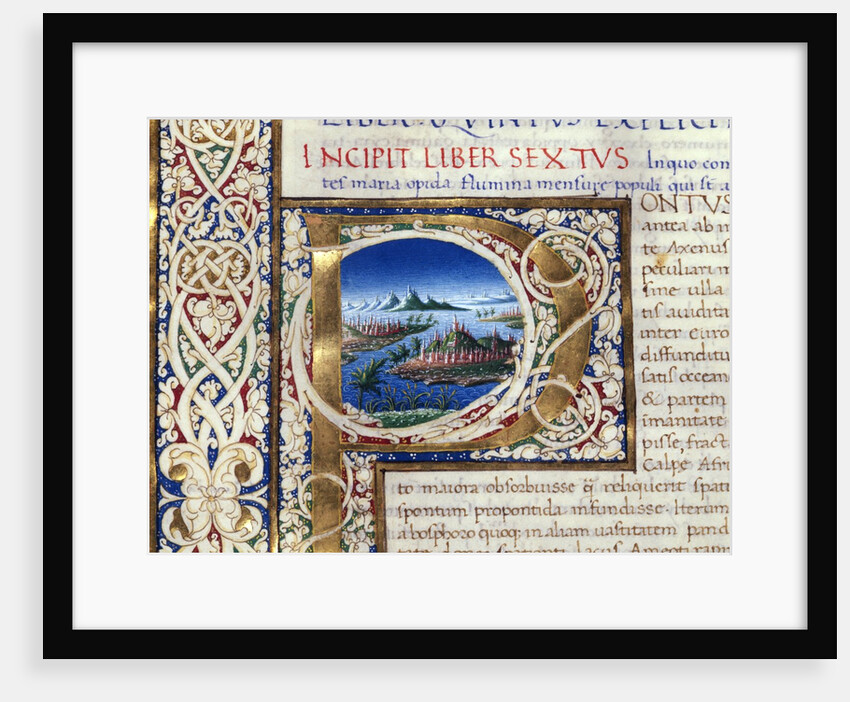 Initial P by Pliny The Elder