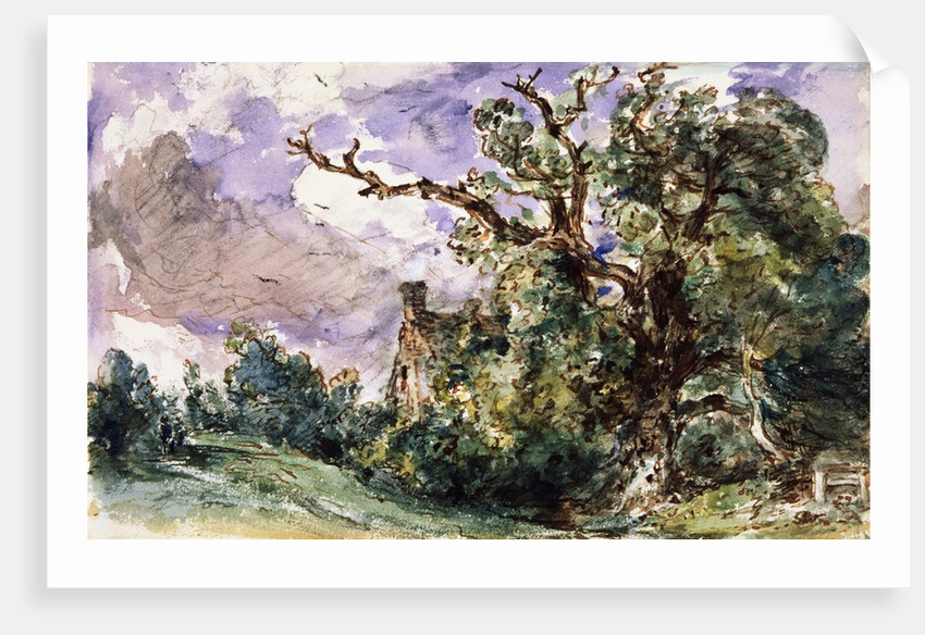 A cottage by a wood at Findon by John Constable