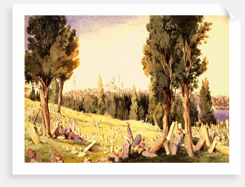 Burying Ground. Constantinople, mid-20th century by Unknown