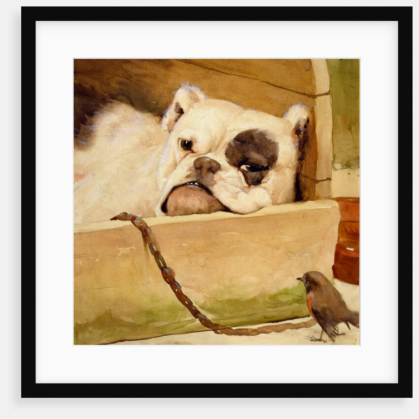 Bulldog and robin by Cecil Aldin