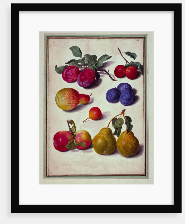 Plums by Apples and Pears