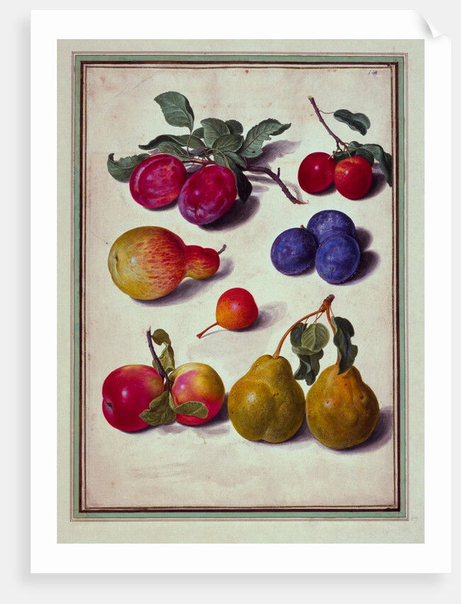 Plums by Apples and Pears