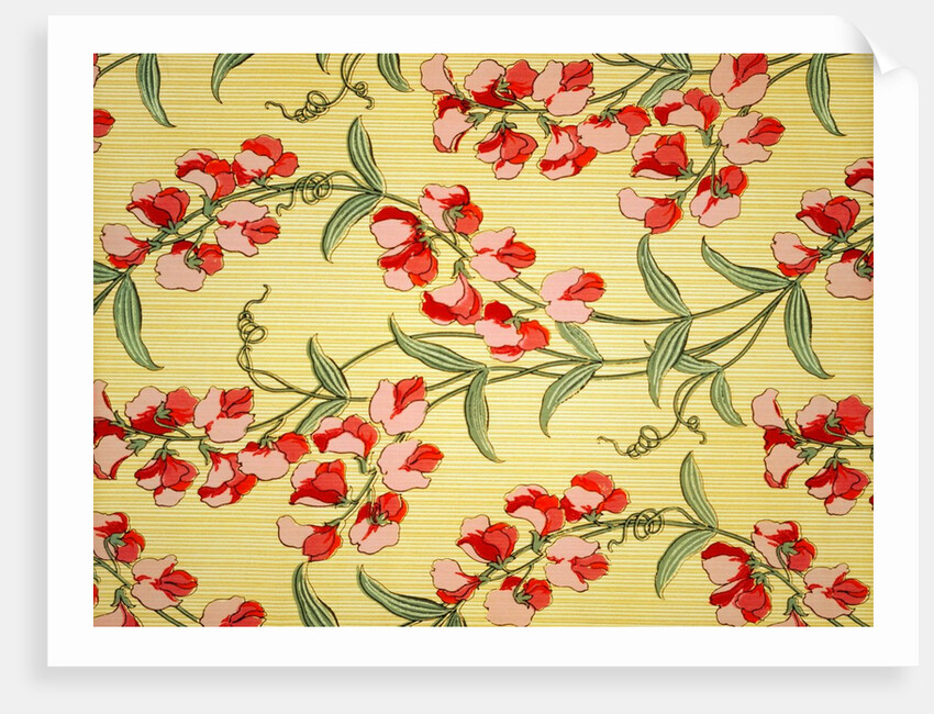 Sweet Peas by Jean Dresser Christopher