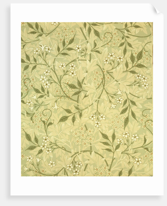 Jasmine wallpaper by William Morris