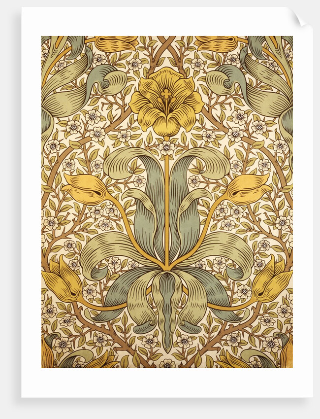 Lily wallpaper by William Morris
