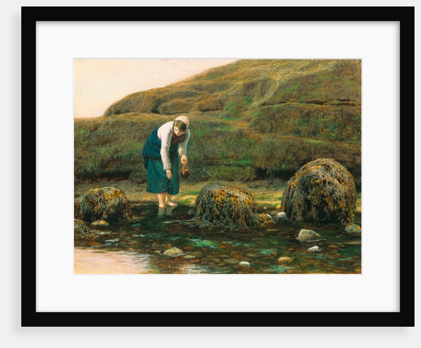 The Winkle Collector by John Dawson Watson