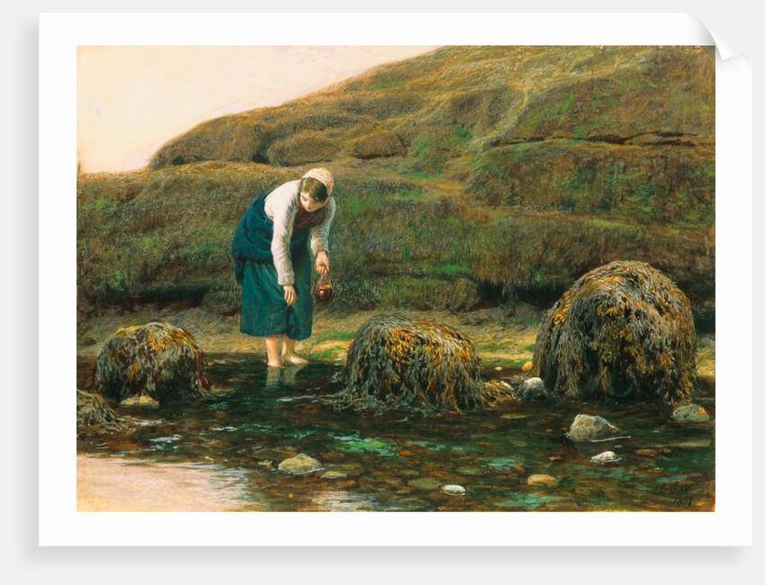 The Winkle Collector by John Dawson Watson