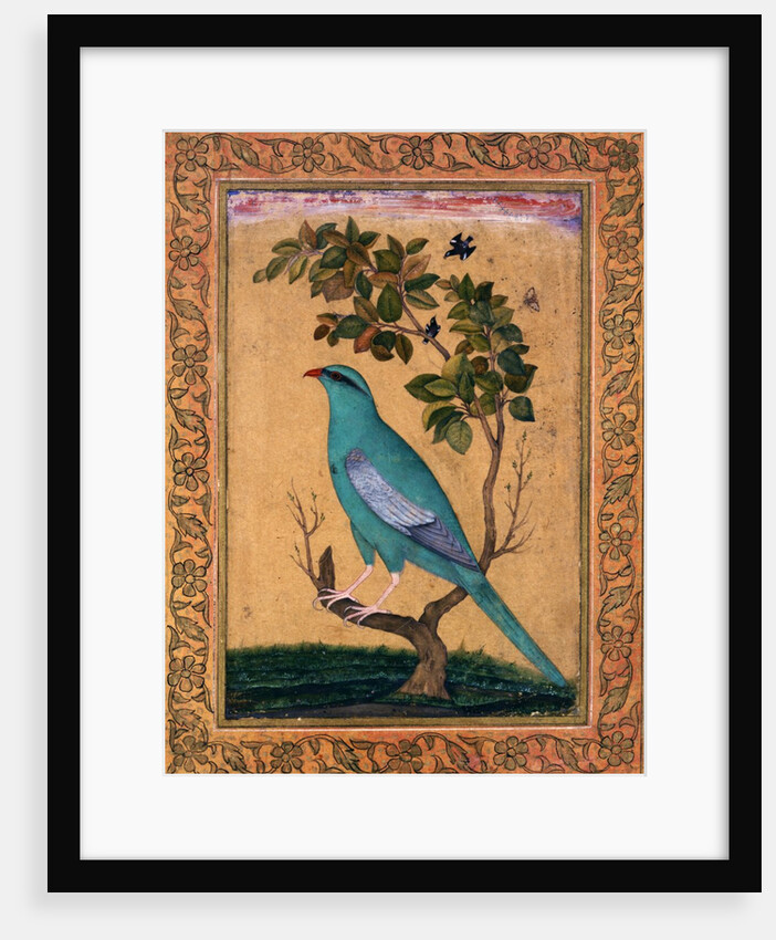 A Green Majore on a tree-trunk by Riza 'Abbasi