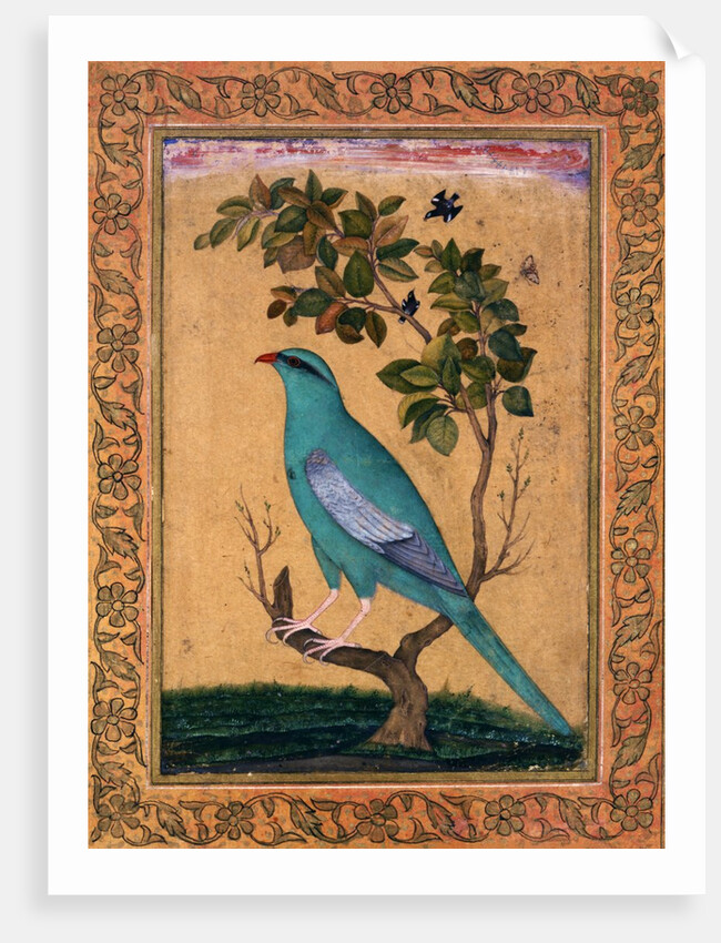 A Green Majore on a tree-trunk by Riza 'Abbasi