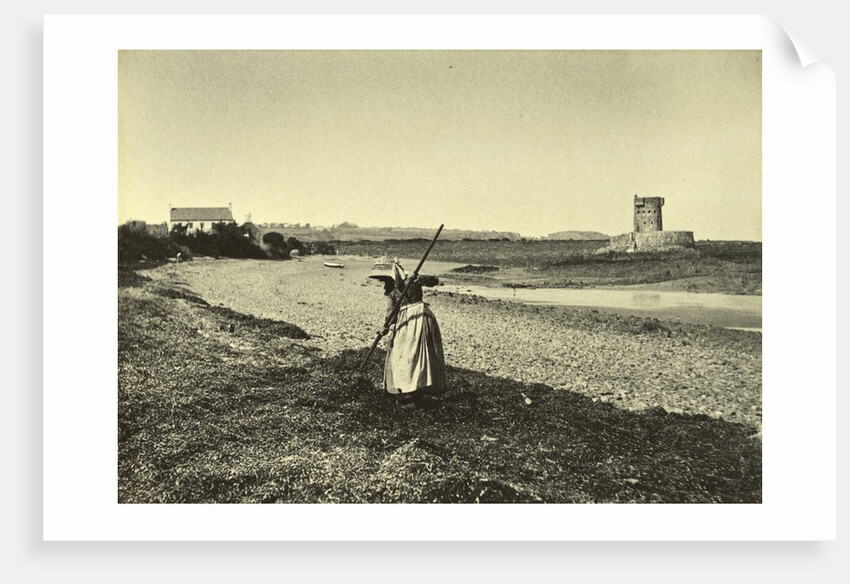 Woman Raking by Paul Martin