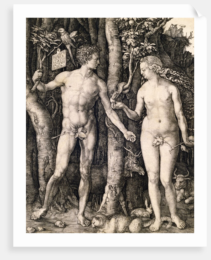 Adam and Eve by Albrecht Durer