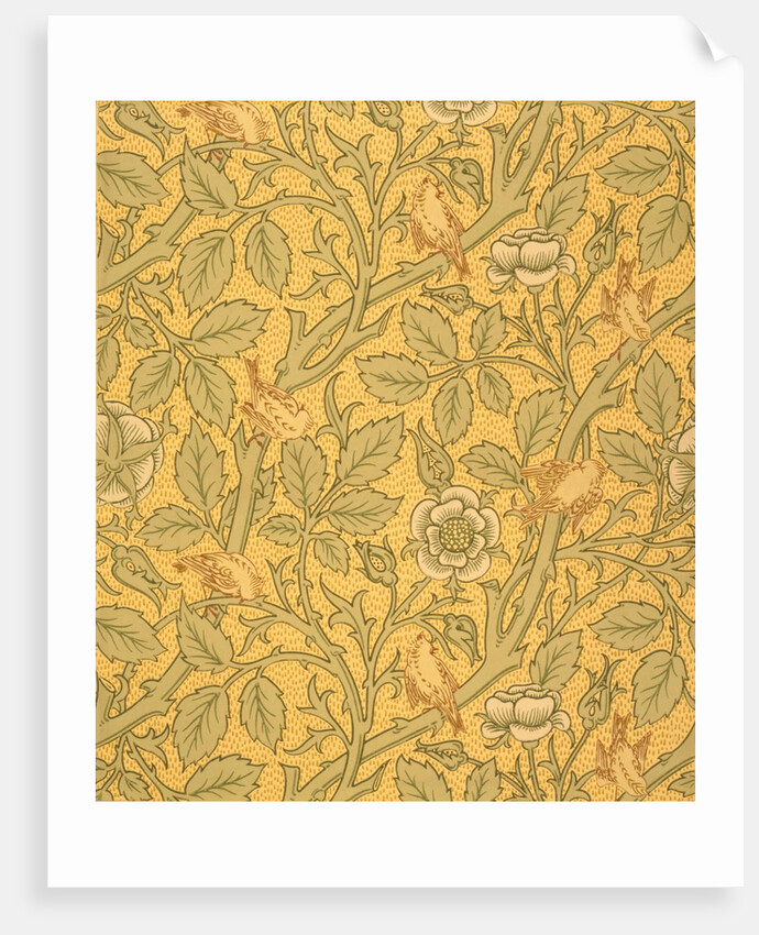 Tom Tit wallpaper by John Henry Dearle