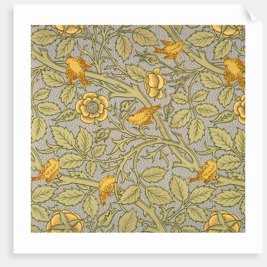 Tom Tit wallpaper by John Henry Dearle