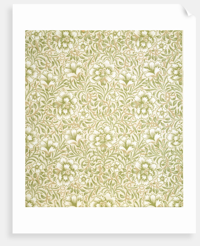 Carnation wallpaper by Kate Faulkner