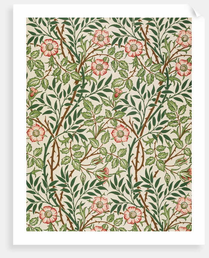 Sweet Briar wallpaper by John Henry Dearle