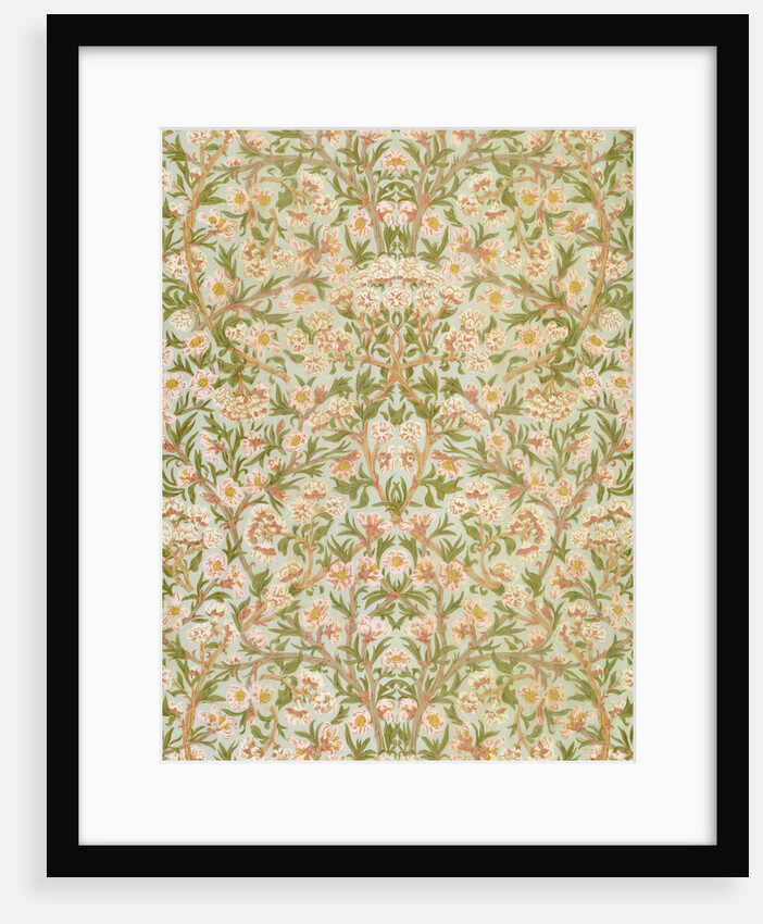 Blossom wallpaper by Kate Faulkner