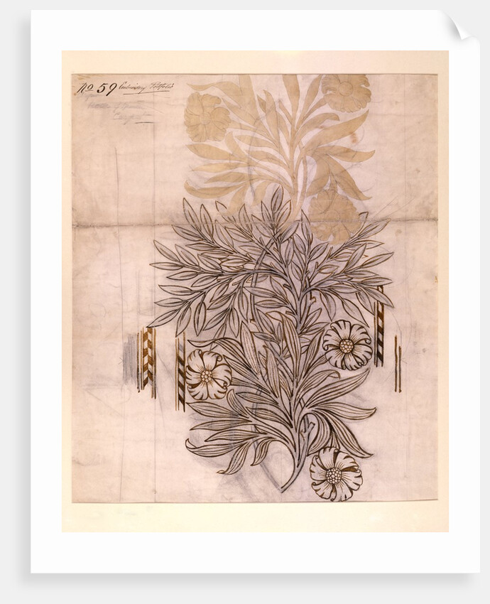 Potted Plant drawing of a dahlia with lush leaves by William Morris