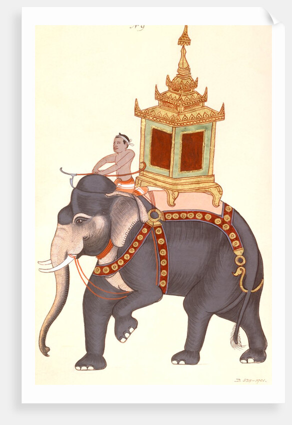 The King's elephant, Company Painting by Unknown
