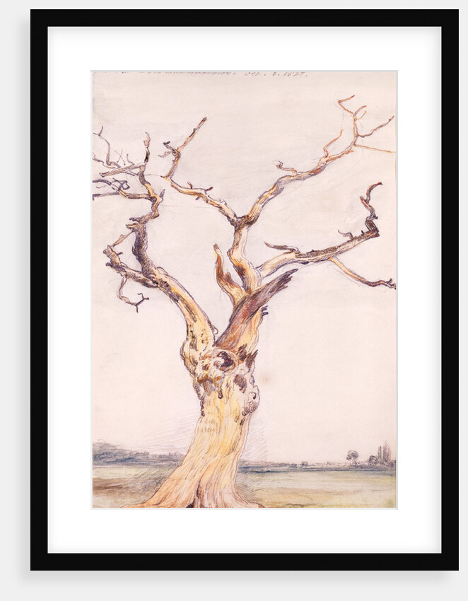Oak in Deadham Meadows by John Constable