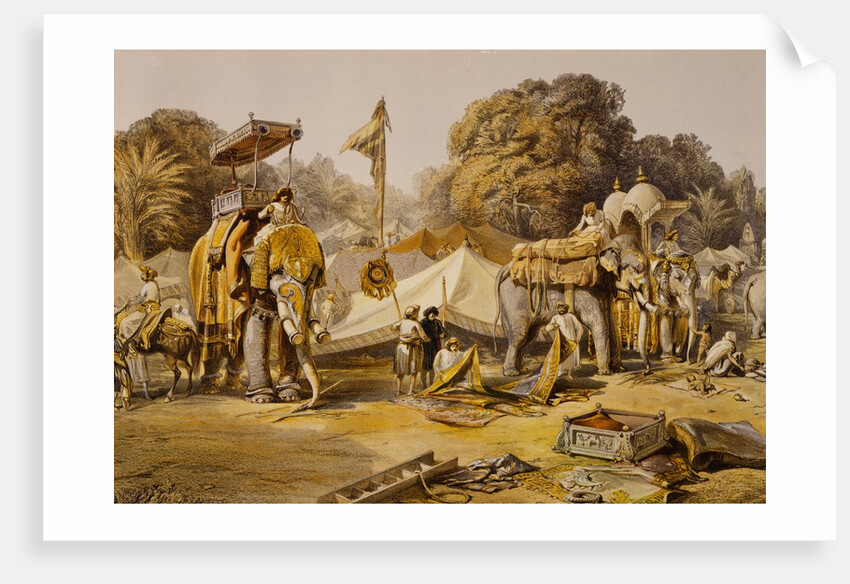 State Elephants in the Mahratta Carup by William Simpson