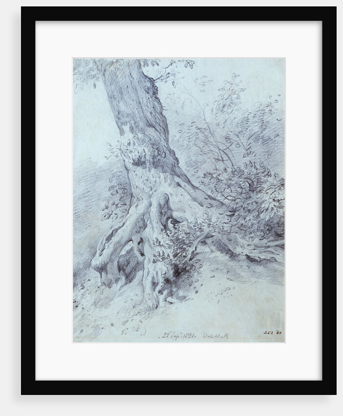 The Root of a Tree at Hampstead by John Constable