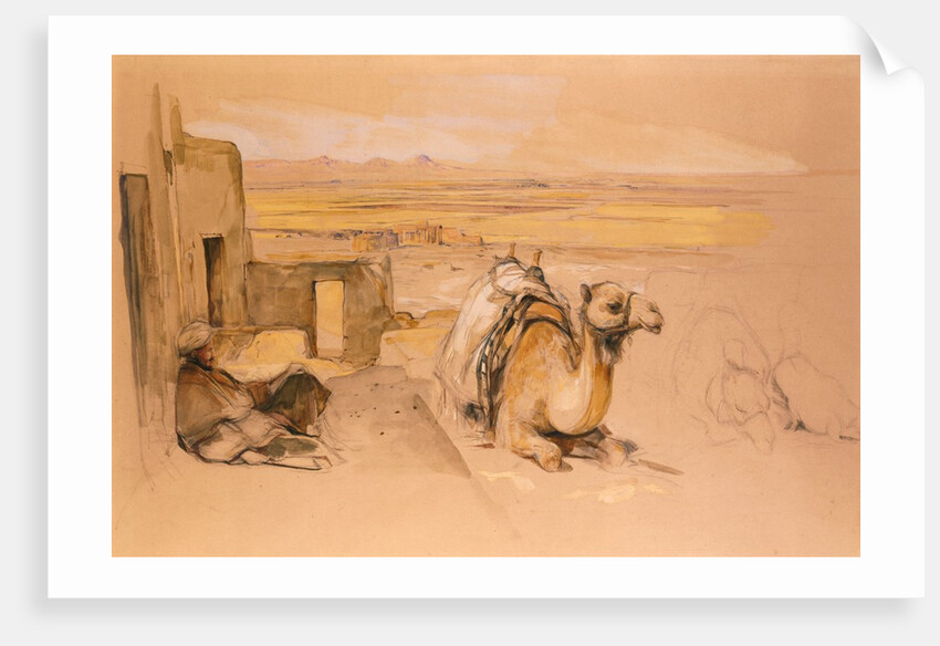 Camel in West Thebes, Egypt,  by John Frederick Lewis. England, 19th century by John Frederick Lewis