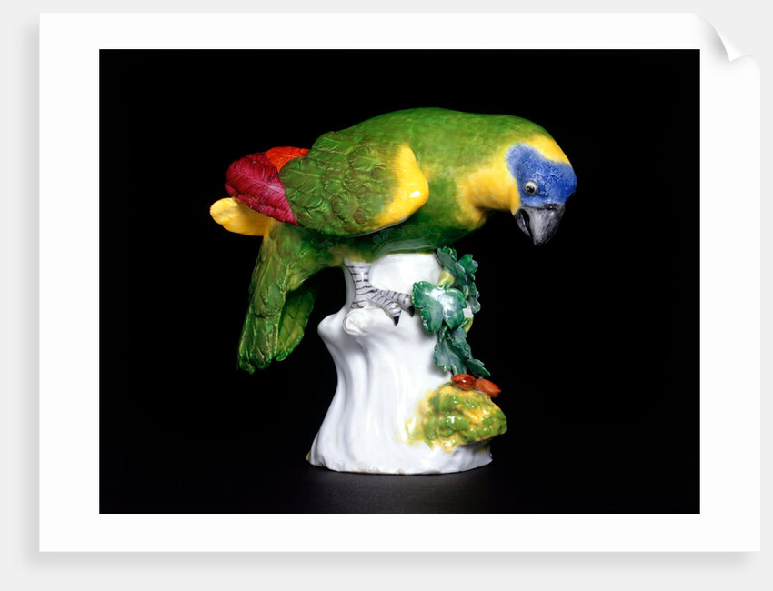 Parakeet by Johann Joachim Kändler