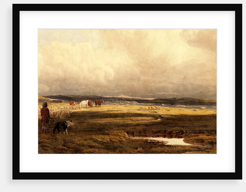 A Salt Marsh by William Turner