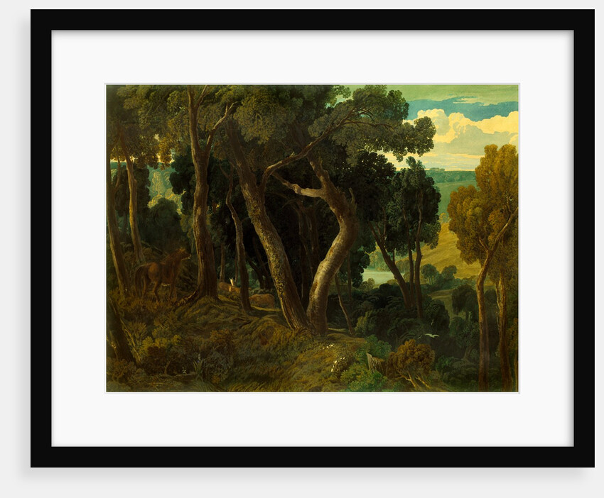 Wichwood Forest by William Turner