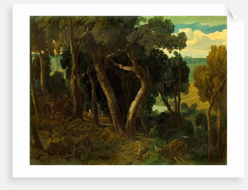 Wichwood Forest by William Turner