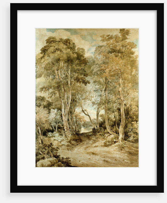 Wood Scene by John Crome