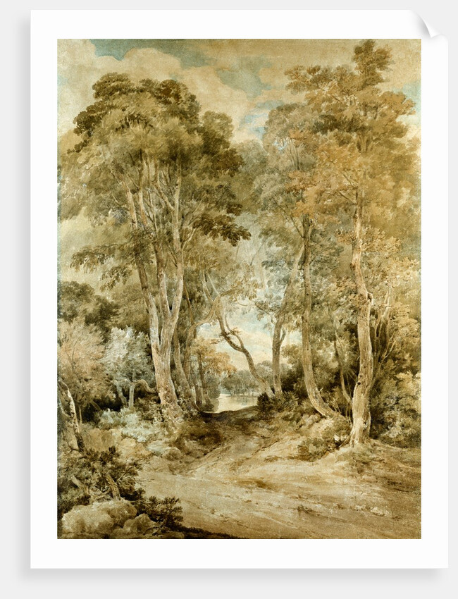 Wood Scene by John Crome