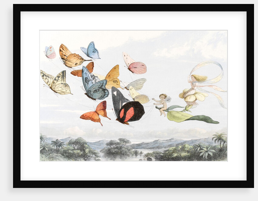 The Fairy Queen takes an airy drive in a light carriage by Richard Doyle