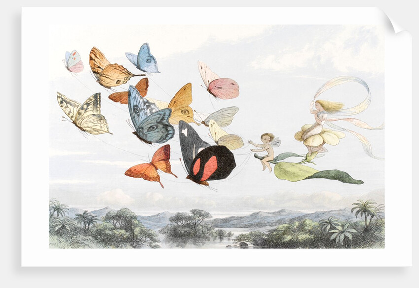 The Fairy Queen takes an airy drive in a light carriage by Richard Doyle