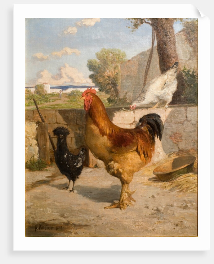 Poultry by François Bocion