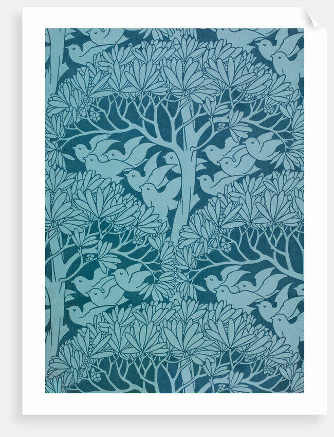 The Savaric by Anonymous