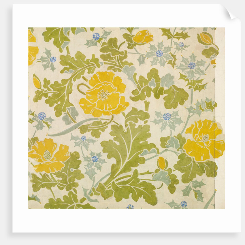Wallpaper by Charlotte Horne Spiers