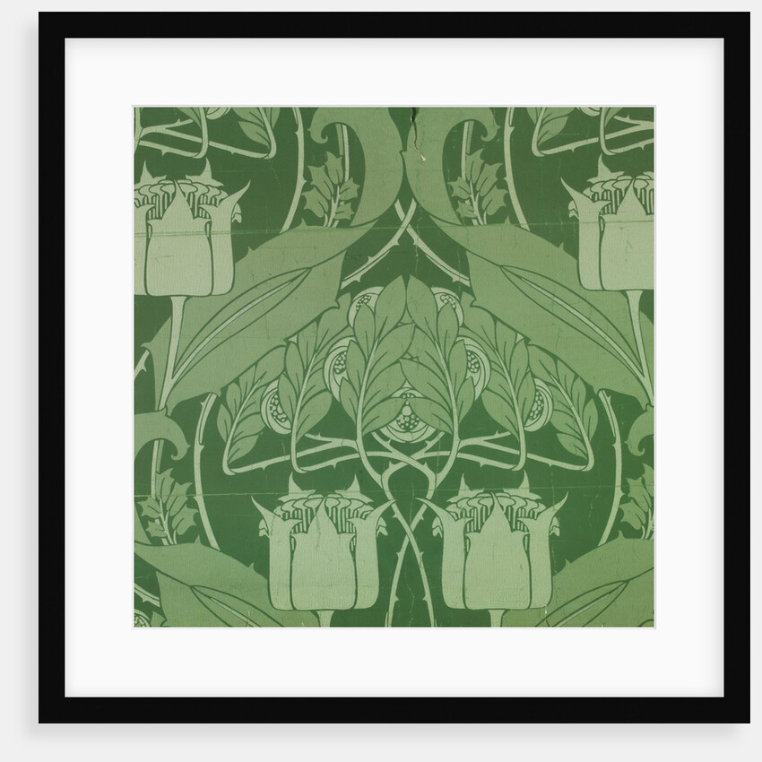Floral pattern by Harry Napper