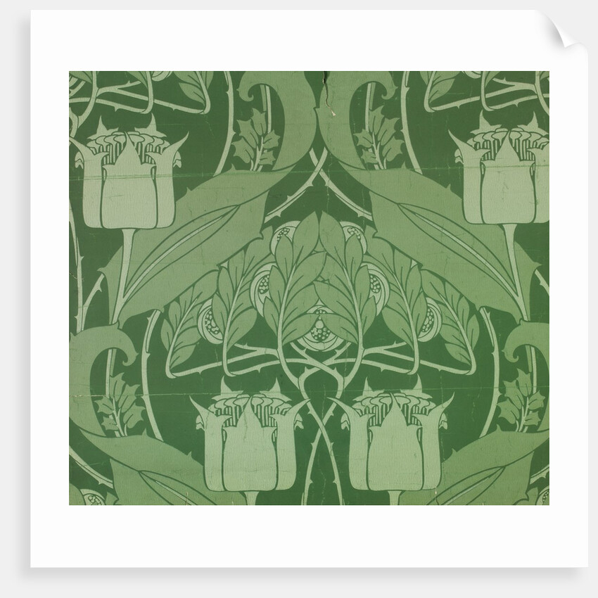 Floral pattern by Harry Napper